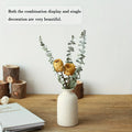 Set of 3 Ceramic Vases Rustic Farmhouse Decorative Beige-1